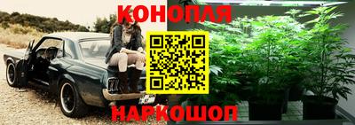 ПСИЛОЦИБИНОВЫЕ ГРИБЫ Ликино-Дулёво