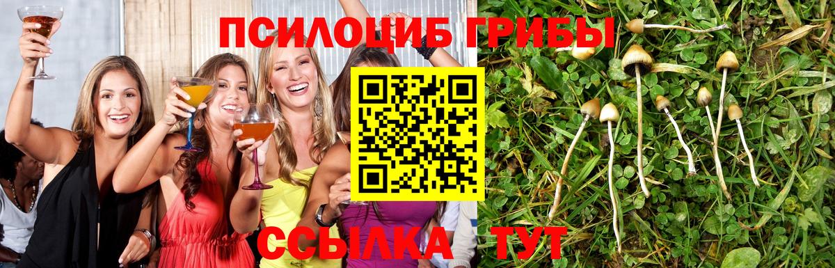 Псилоцибиновые грибы Psilocybe  Вход с VPN  Когалым  Галлюциногенные грибы мухоморы 